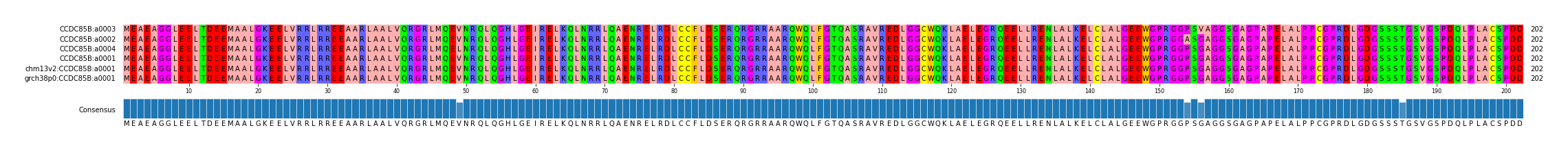 Multiple Alignments (by translate haplotype similarity)