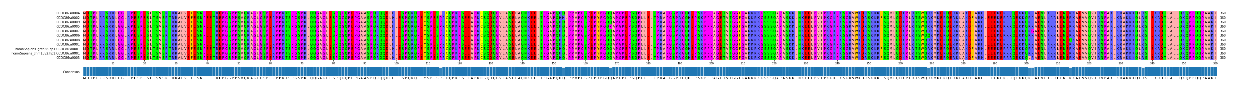Multiple Alignments (by translate haplotype similarity)
