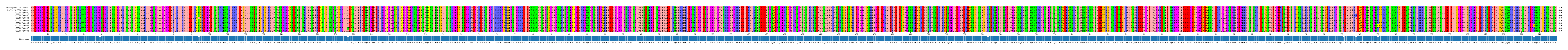 Multiple Alignments (by translate haplotype frequency)