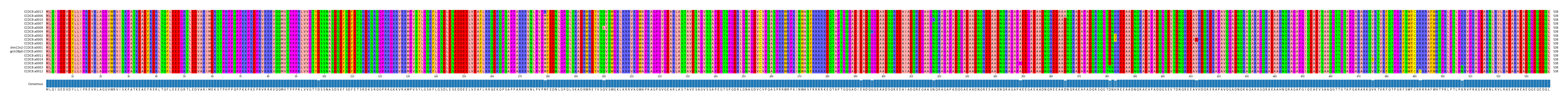 Multiple Alignments (by translate haplotype similarity)