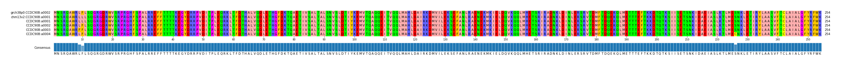 Multiple Alignments (by translate haplotype frequency)