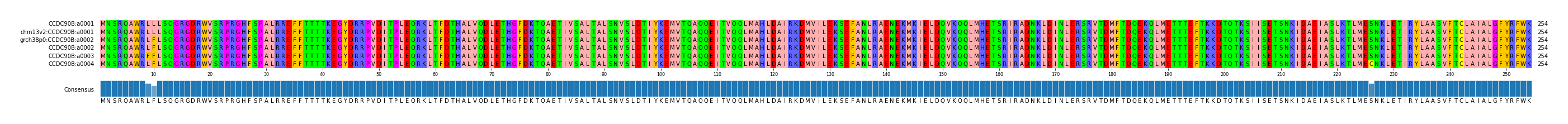 Multiple Alignments (by translate haplotype similarity)