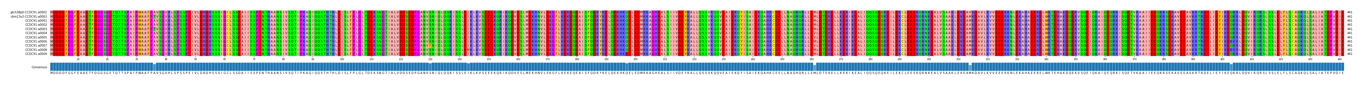 Multiple Alignments (by translate haplotype frequency)