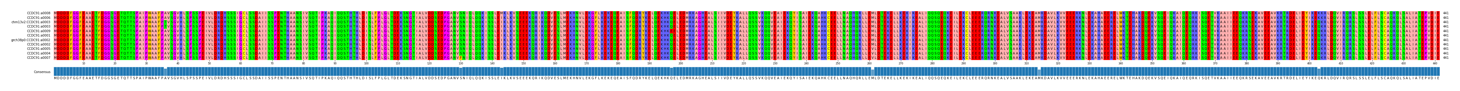 Multiple Alignments (by translate haplotype similarity)