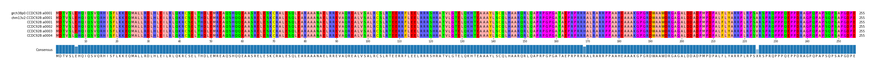 Multiple Alignments (by translate haplotype frequency)