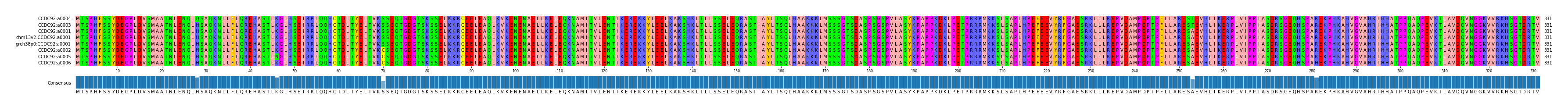 Multiple Alignments (by translate haplotype similarity)