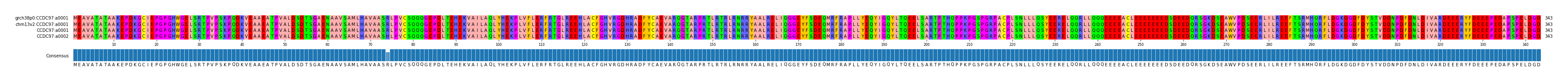 Multiple Alignments (by translate haplotype similarity)