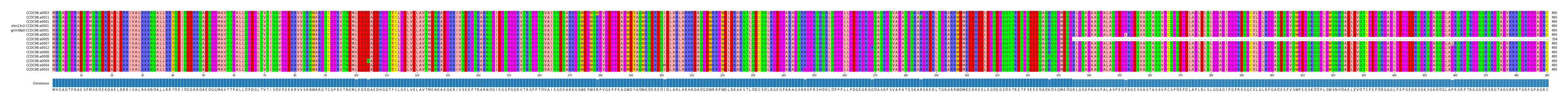 Multiple Alignments (by translate haplotype similarity)