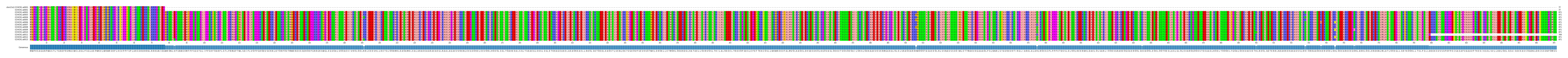 Multiple Alignments (by translate haplotype frequency)