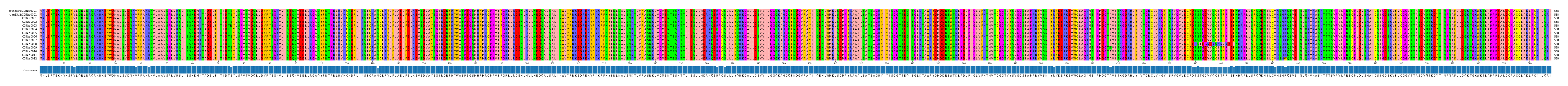 Multiple Alignments (by translate haplotype frequency)