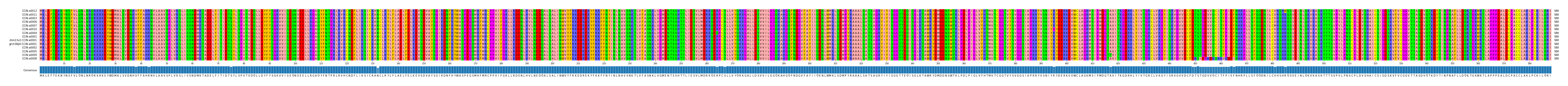 Multiple Alignments (by translate haplotype similarity)