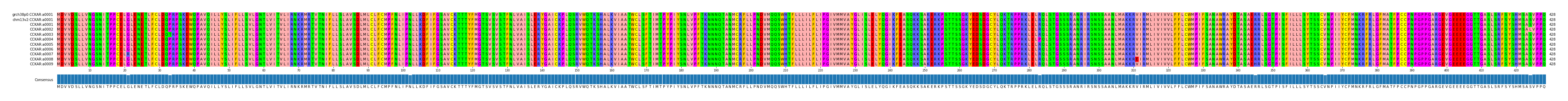 Multiple Alignments (by translate haplotype frequency)