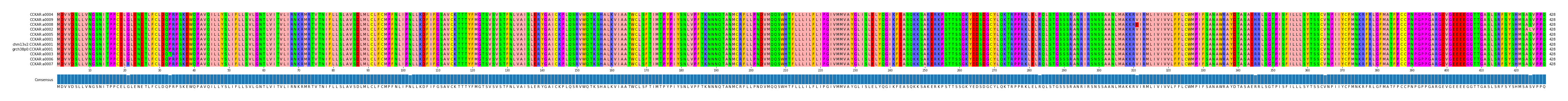 Multiple Alignments (by translate haplotype similarity)