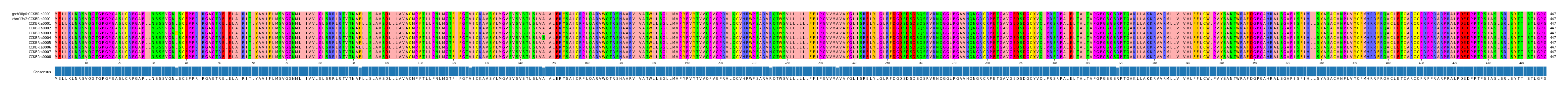 Multiple Alignments (by translate haplotype frequency)