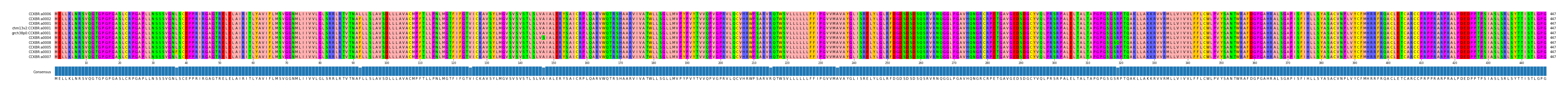 Multiple Alignments (by translate haplotype similarity)