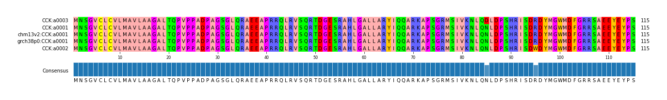Multiple Alignments (by translate haplotype similarity)