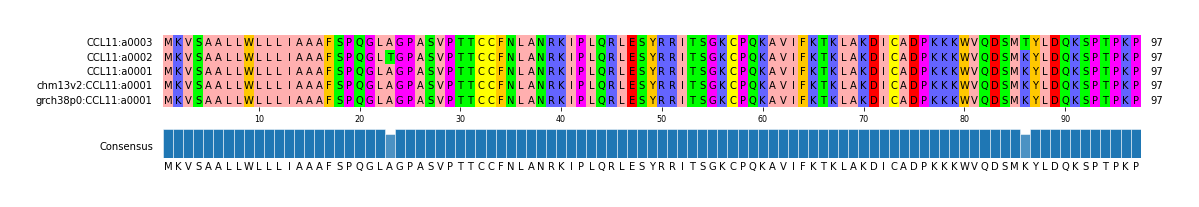 Multiple Alignments (by translate haplotype similarity)