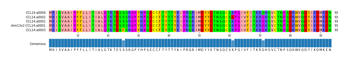 Multiple Alignments (by translate haplotype similarity)