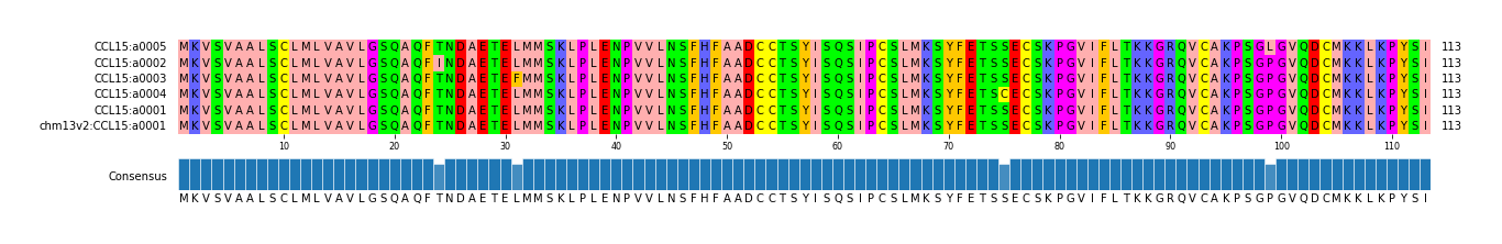 Multiple Alignments (by translate haplotype similarity)