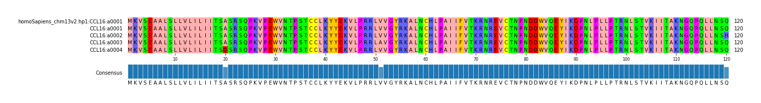 Multiple Alignments (by translate haplotype frequency)