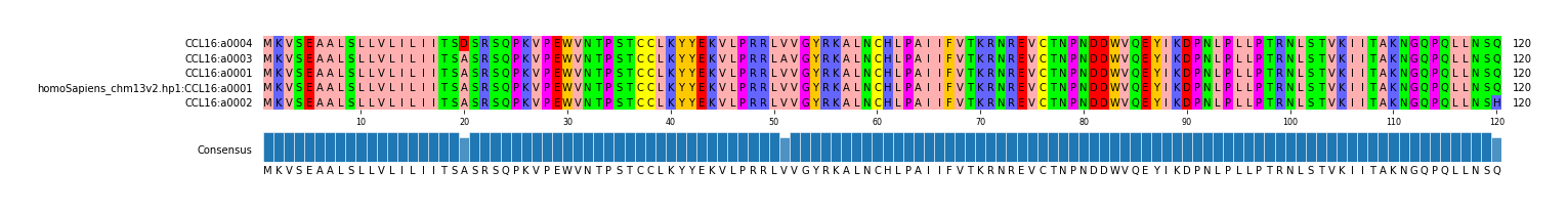 Multiple Alignments (by translate haplotype similarity)