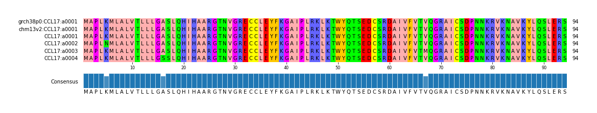 Multiple Alignments (by translate haplotype frequency)