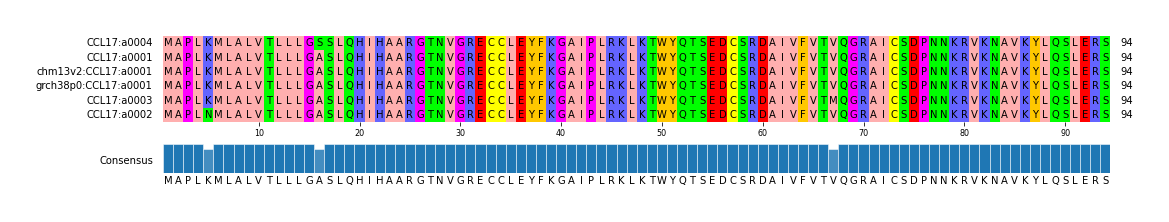 Multiple Alignments (by translate haplotype similarity)