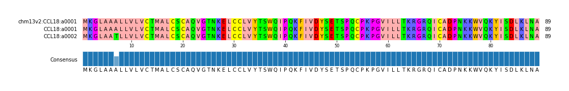 Multiple Alignments (by translate haplotype similarity)
