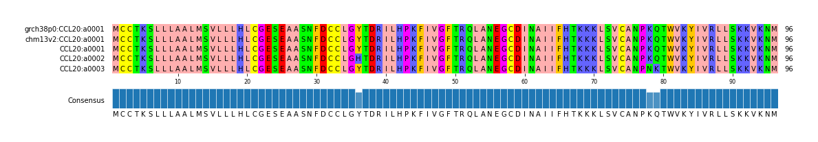 Multiple Alignments (by translate haplotype frequency)