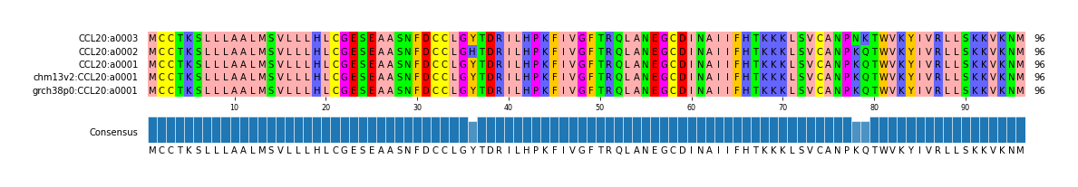 Multiple Alignments (by translate haplotype similarity)