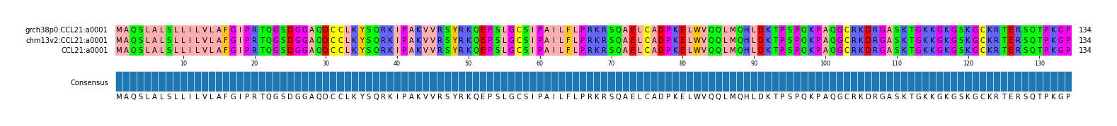 Multiple Alignments (by translate haplotype similarity)