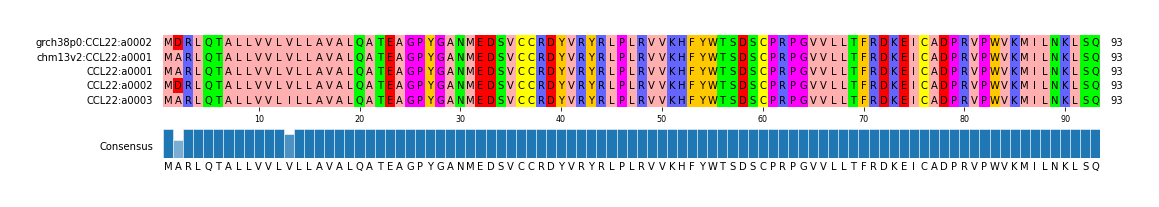 Multiple Alignments (by translate haplotype frequency)
