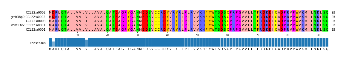 Multiple Alignments (by translate haplotype similarity)