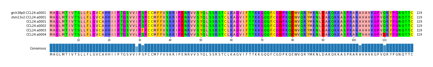 Multiple Alignments (by translate haplotype frequency)
