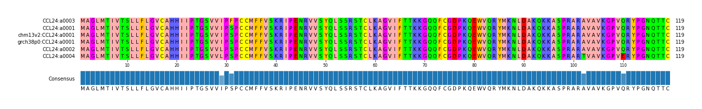 Multiple Alignments (by translate haplotype similarity)