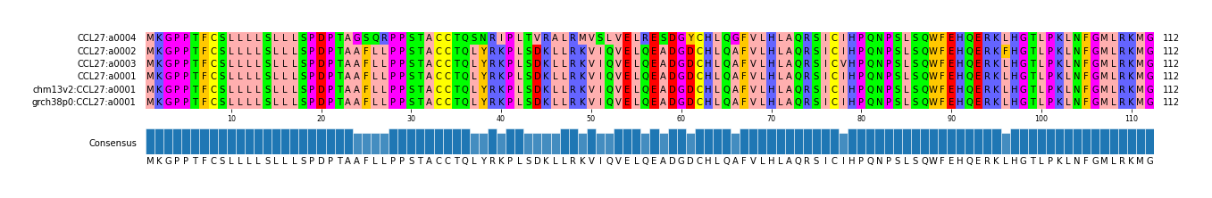 Multiple Alignments (by translate haplotype similarity)
