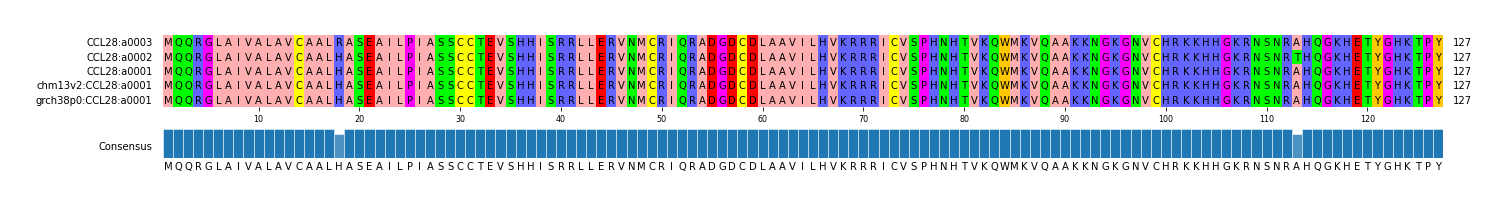 Multiple Alignments (by translate haplotype similarity)