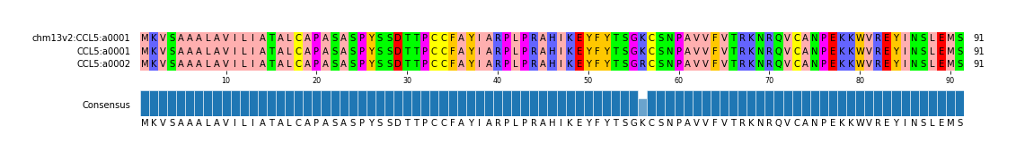Multiple Alignments (by translate haplotype similarity)