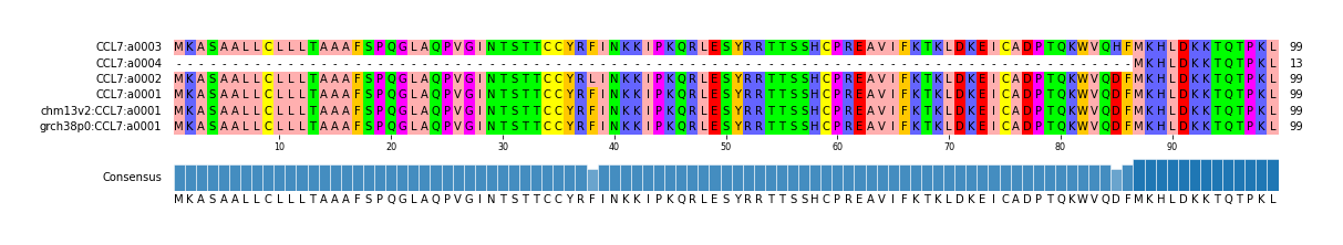Multiple Alignments (by translate haplotype similarity)