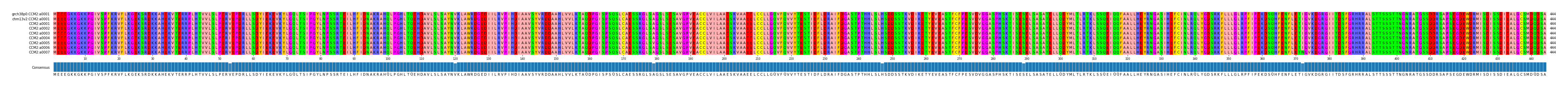 Multiple Alignments (by translate haplotype frequency)
