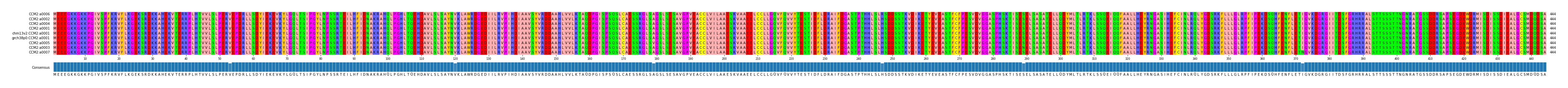 Multiple Alignments (by translate haplotype similarity)