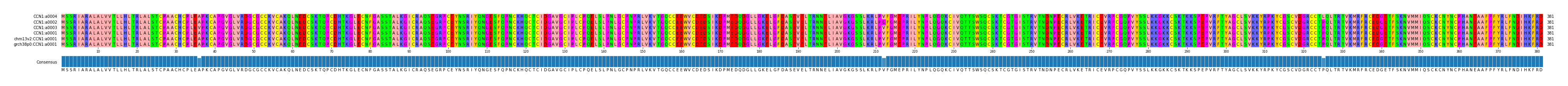 Multiple Alignments (by translate haplotype similarity)