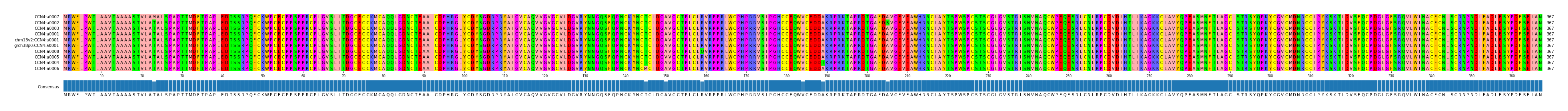 Multiple Alignments (by translate haplotype similarity)
