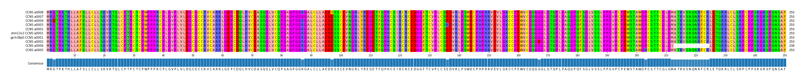 Multiple Alignments (by translate haplotype similarity)
