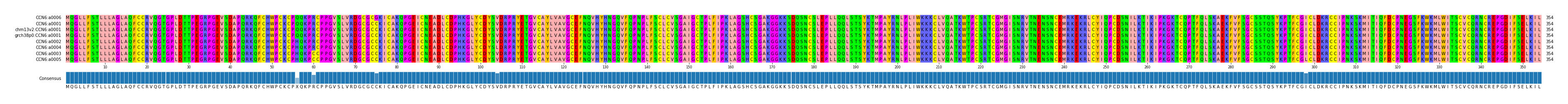 Multiple Alignments (by translate haplotype similarity)