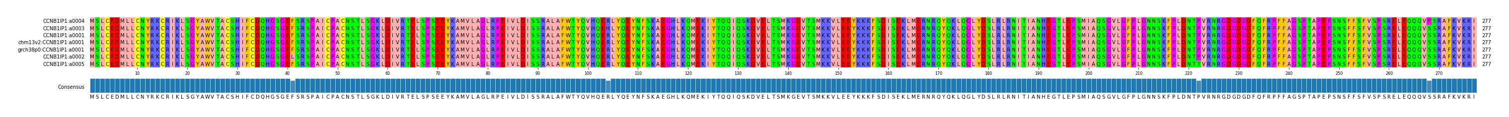 Multiple Alignments (by translate haplotype similarity)