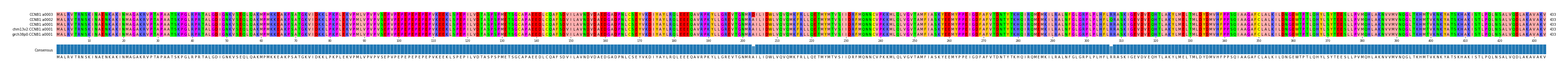 Multiple Alignments (by translate haplotype similarity)