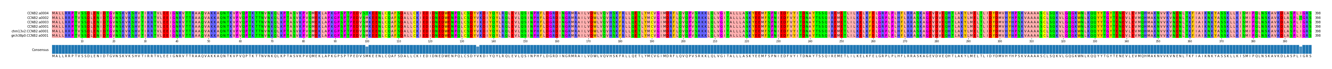Multiple Alignments (by translate haplotype similarity)
