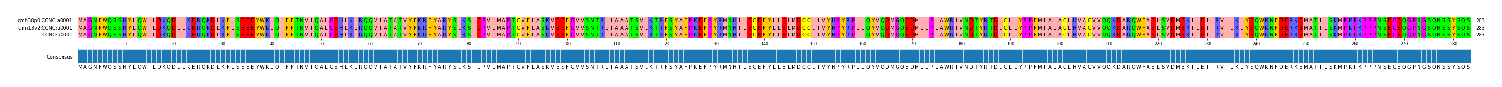 Multiple Alignments (by translate haplotype similarity)