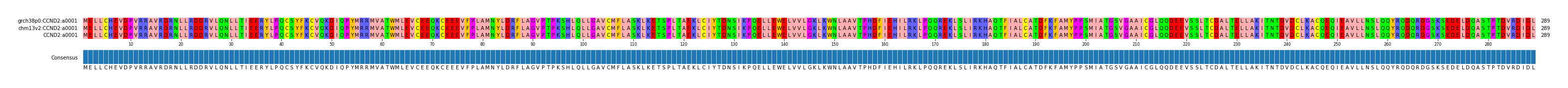 Multiple Alignments (by translate haplotype similarity)